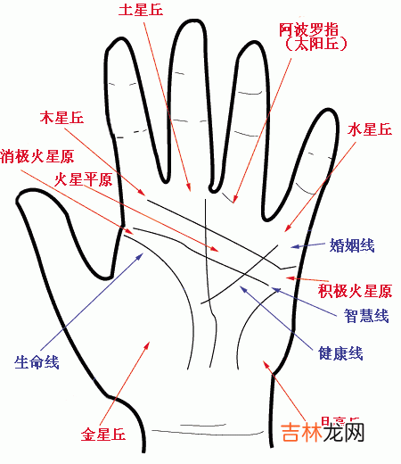 西安那算命最准_从西方星相学看东方传统的手相学