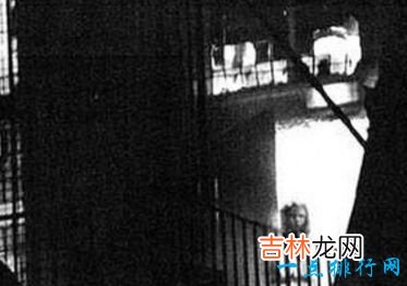 世界十大灵异照片 你敢看吗