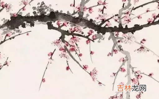 女孩取名:2020年11月24号出生的女孩起什么名字文雅