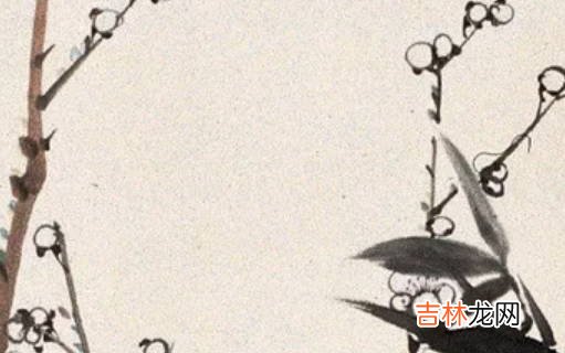 女孩取名:2020年11月17号出生的女孩参考四书五经取名字