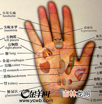 谁知道济南哪里有算命准的_观手知病让你健康百分百