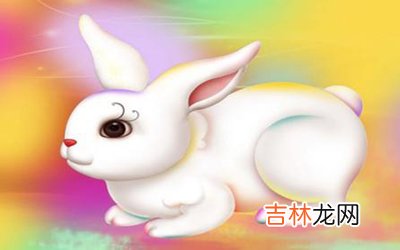 属兔摩羯座B型血的人性格有什么特征