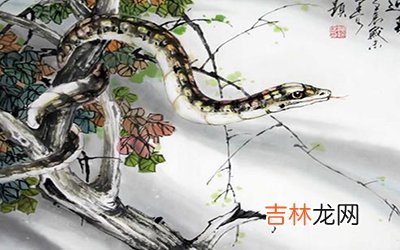 属蛇摩羯座B型血的人性格有什么特征