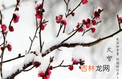 2020鼠年农历十月二十四大雪后一天出生的女孩如何起名？