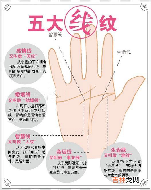 徐州算命师傅电话_女人手相图解-最详细版本