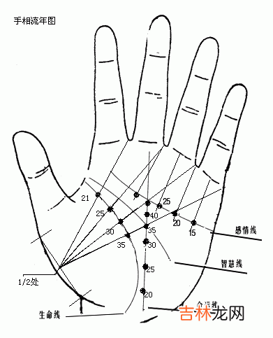 徐州算命师傅电话_女人手相图解-最详细版本