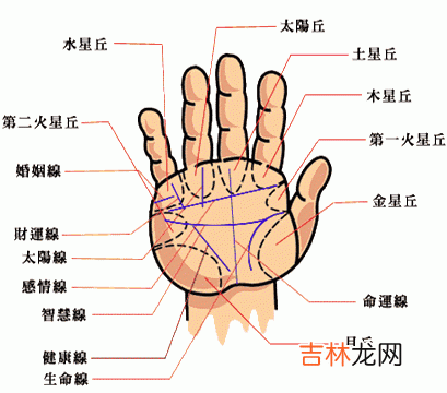 称骨算命表_解析手相??入门篇