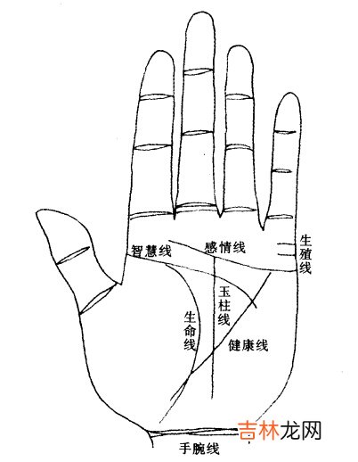 日照算命准的大师_手掌七线示意图