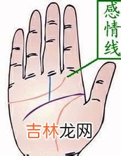 女人法令纹面相算命_命运线图解及简介