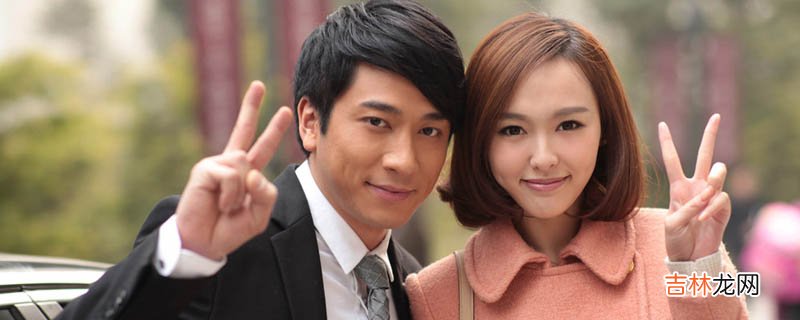 格子间女人结局