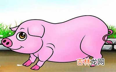 属猪射手座A型血的人性格有什么特征