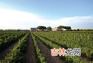 中国6大葡萄酒产区 红酒产区有哪些