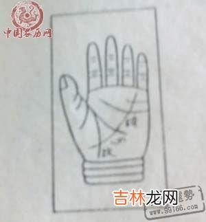 手指斗纹算命_啥手相的人易遭遇婚变
