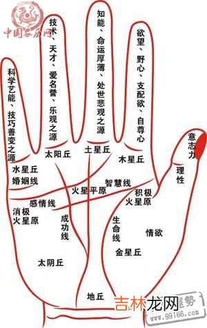 濮阳什么地方算命最准_手相看哪些女人会嫁好男人