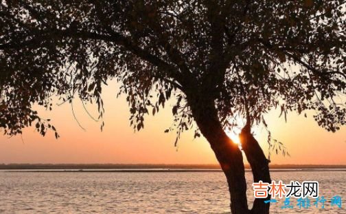 长度为3692千米  世界上最长的内流河 伏尔加河