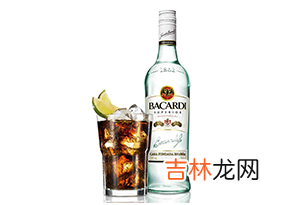 bacardi是什么酒-多少钱一瓶？