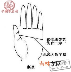 小孩算命网站_女人左手断掌代表什么