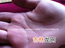 算命的说我犯婚煞是什么意思_额头、火星丘黑痣、生命线岛纹及聪明痣详解