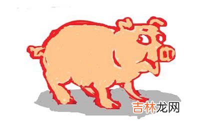 属猪水瓶座A型血的人性格有什么特征