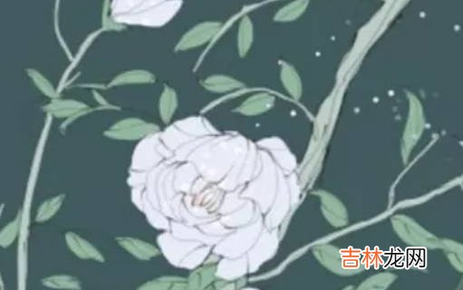 2020年12月18号出生的男孩起什么名字寓意好,宜用什么字
