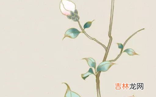男宝宝起名:2020年12月19号出生的男孩怎么起名字,五行属什么