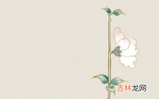 男宝宝起名:2020年12月19号出生的男孩怎么起名字,五行属什么