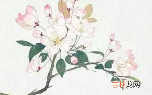 2020年12月21号冬至出生的男孩怎么起名字,五行属什么