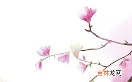 2020年5月16号四月二十四生的女孩是什么命，结合八字起名