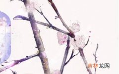 2020年5月19号四月二十七日生的男孩命运好吗，取什么名字好