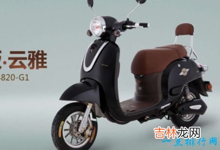 中国十大电动车品牌 绿源排第一