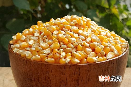 爆米花用什么玉米