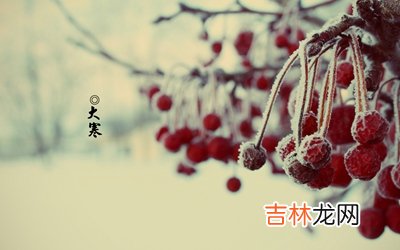 2020鼠年大寒前一天腊月初七出生的女孩如何起名？