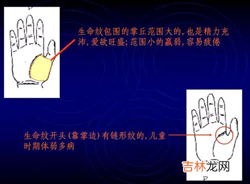 算命三不看_怎么看手相图解