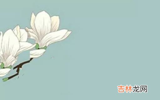 2020年12月7号大雪出生的女孩五行属什么，如何取名字