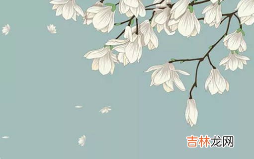 八字取名:2020年12月8号出生的女孩怎么起名字,宜用什么字