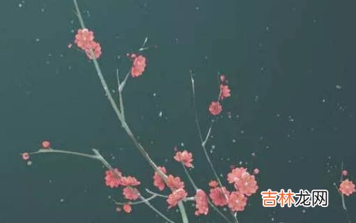 2020年12月10号出生的女孩起什么名字高分有诗意，五行属什么