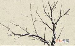 2020年12月16号出生的女孩起什么名字高分有诗意，五行属什么