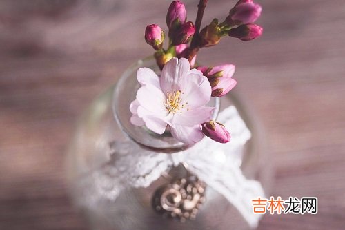水瓶座2020年几月桃花最旺,五月、七月、九月