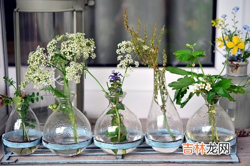 水瓶座2020年的桃花贵人,双子、天秤、水瓶