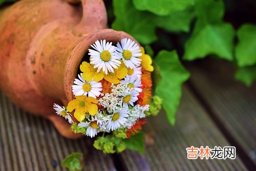 摩羯座2020年几月桃花最旺，三月、八月、十月