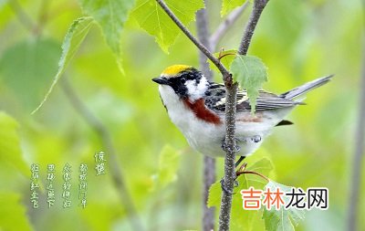 2021辛丑牛年正月二十二惊蛰节气出生的男孩如何起名?