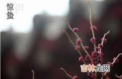 2021辛丑牛年正月二十二惊蛰节气出生的女孩怎么起名？