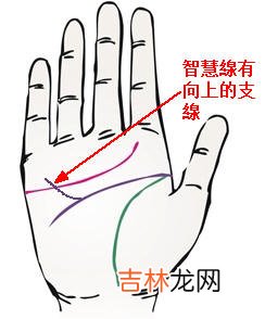 海东算命哪里最好_什么样手相的人最招财