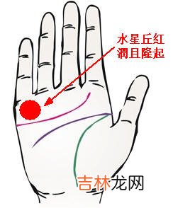 海东算命哪里最好_什么样手相的人最招财
