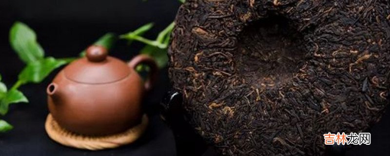 云南人不喝普洱茶