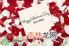 情人节送百合什么意思?情人节送百合有什么含义?