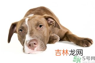 懒有什么坏处?懒有什么好处?