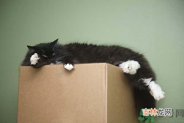 懒有什么坏处?懒有什么好处?