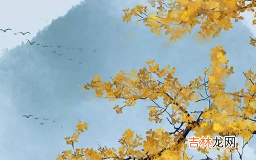 2020年12月19号出生的女孩五行属什么，免费八字取名字