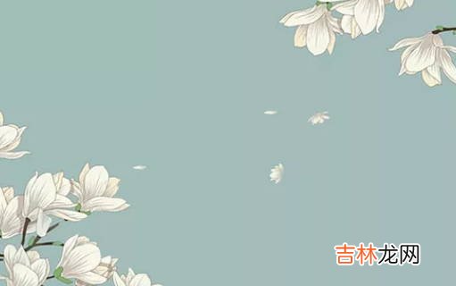 女孩取名:2020年12月20号出生的女孩如何取名字有气质
